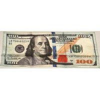 Hundred Dollar Bill Silk - Large - NEW STYLE!