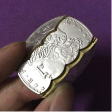 Morgan Dollar Replica Folding Coin (Coin in Bottle)