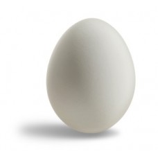 Malini's Egg