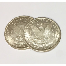 Morgan Dollar Replica Expanded Shell - Tail side